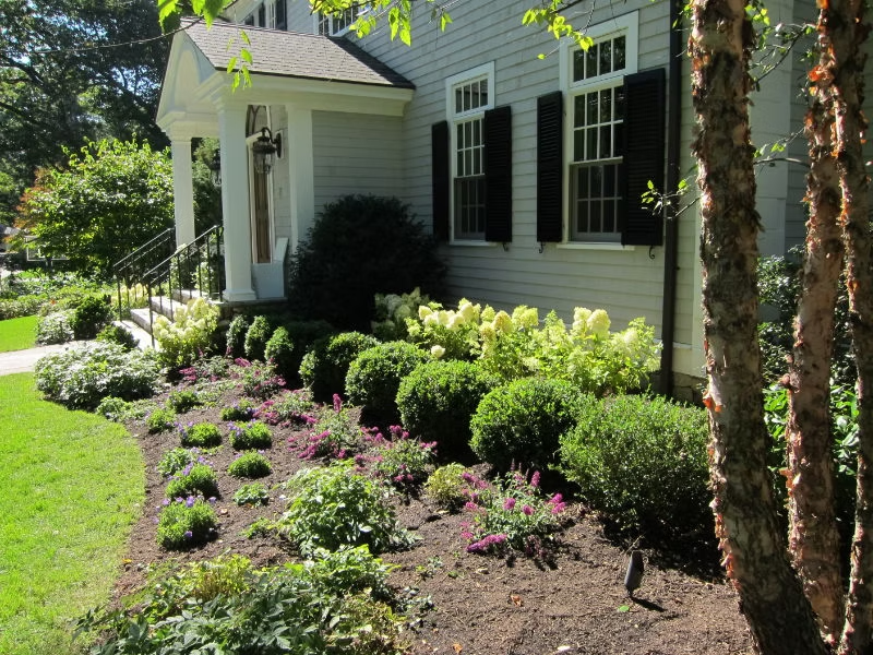 Belmont front foundation planting with hydrangeas, boxwood, and seasonal color