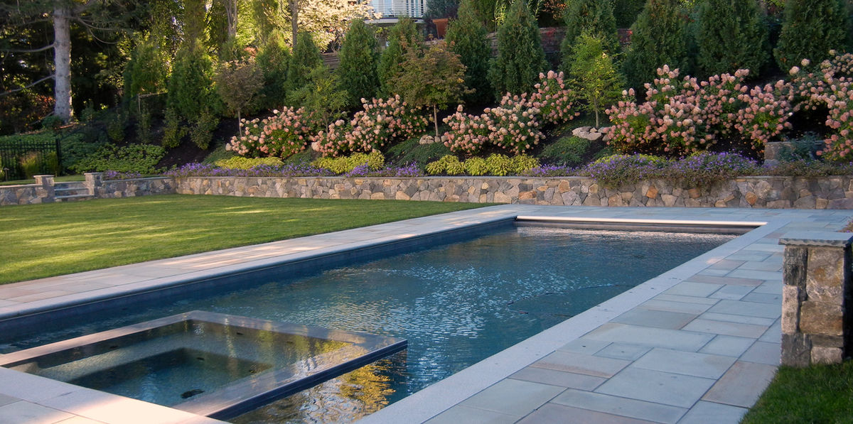 Newton Residence - Pool and stone patio