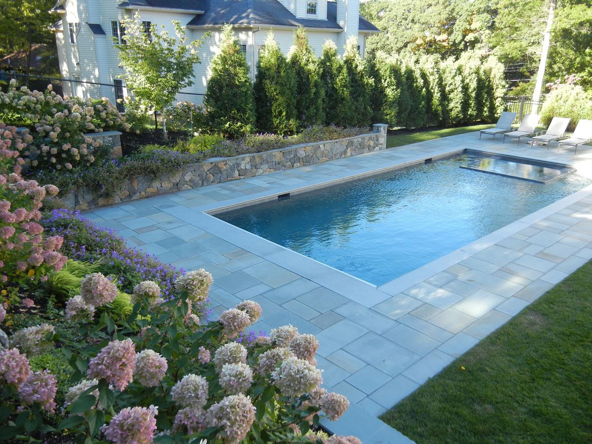 Newton Residence - Pool and landscape planting