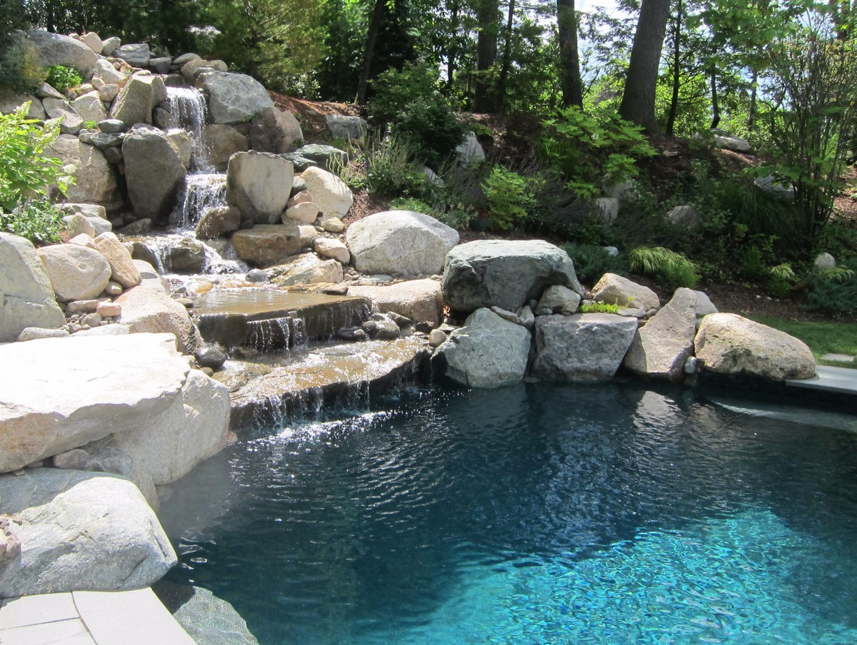 Wellesley Hills Residence - Pool and lounge terrace