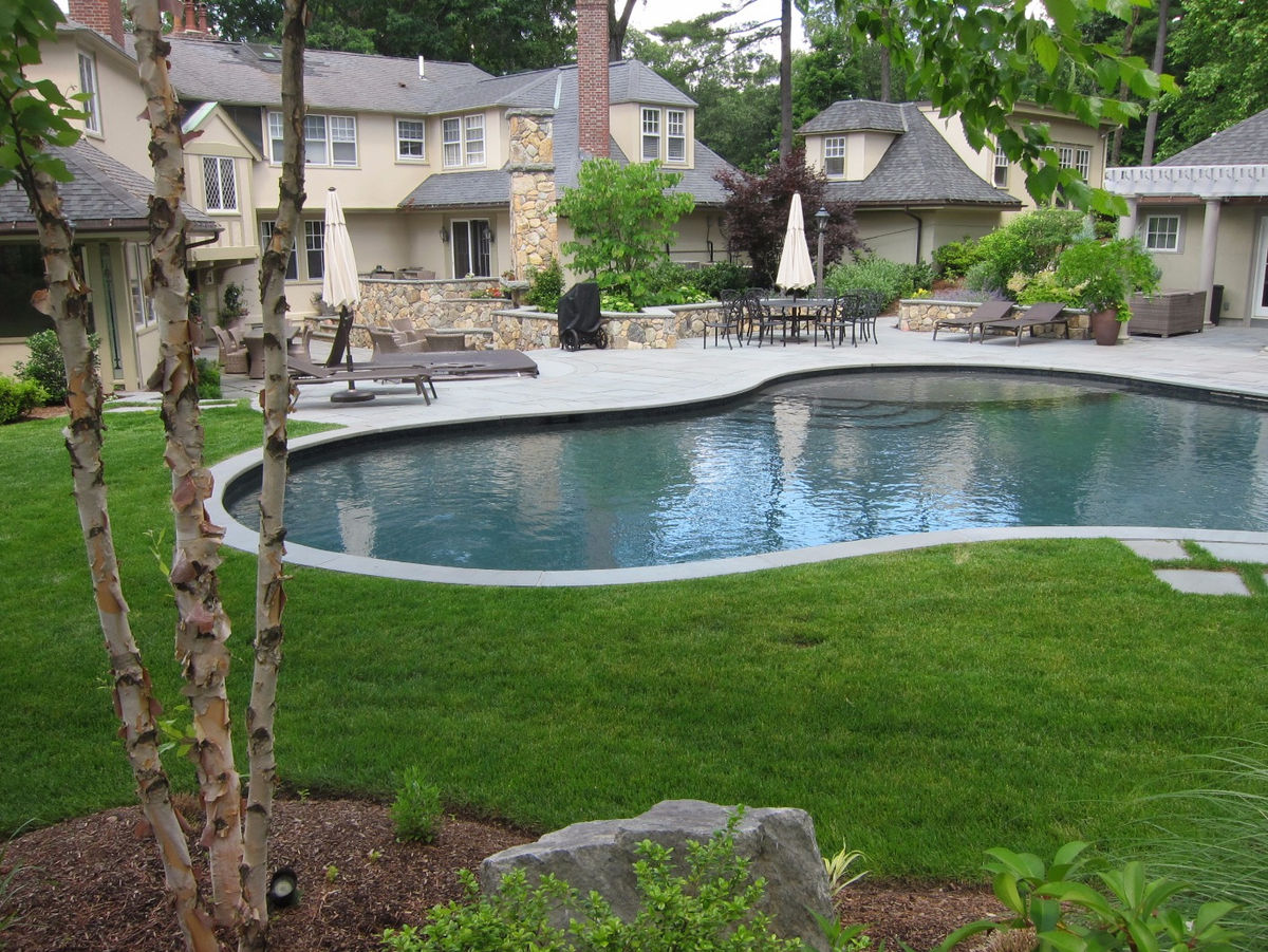 Wellesley Hills Residence - Pool and outdoor living terrace