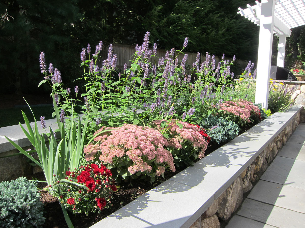 Wellesley Residence - Seat wall and planting
